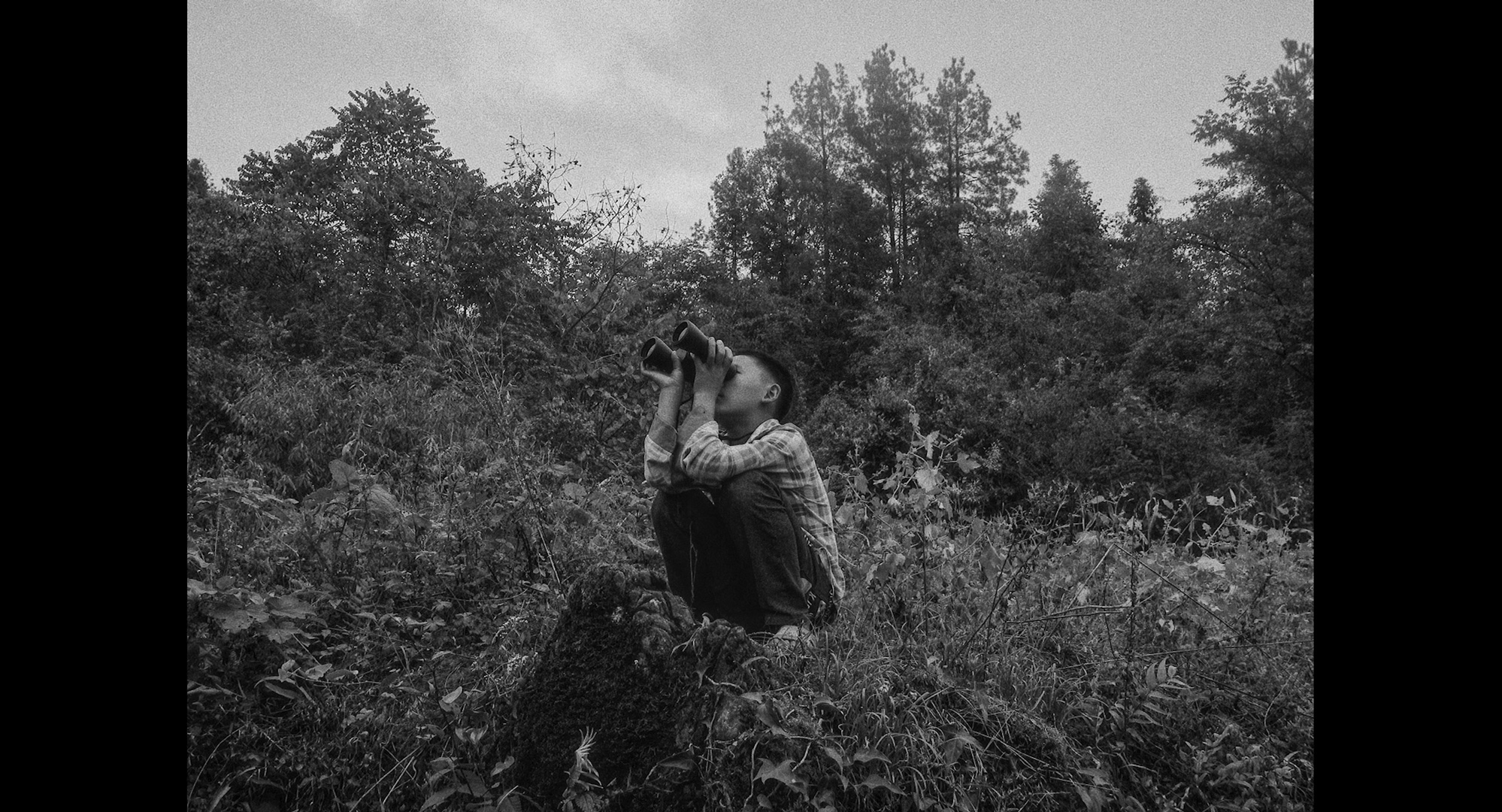 카메라로 써 내려간 한 편의 시 A Poem Written with a Camera